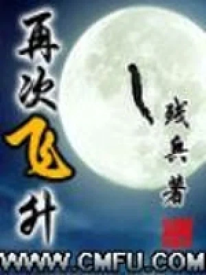 再次飞升(校对版全本) 封面