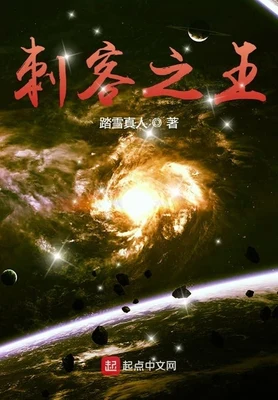 刺客之王(校对版全本) 封面