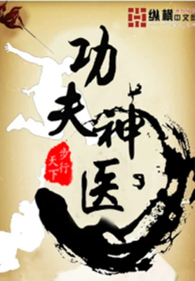 功夫神医(校对版全本) 封面