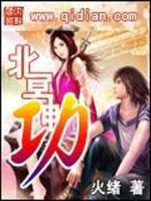 北冥神功(校对版全本) 封面