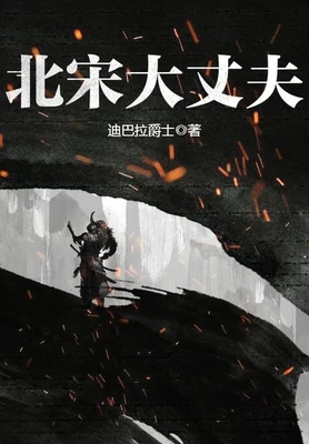 北宋大丈夫(校对版全本) 封面