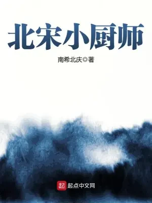 北宋小厨师（校对版全本） 封面
