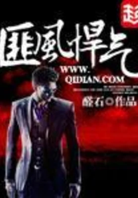 匪风悍气(校对版全本) 封面