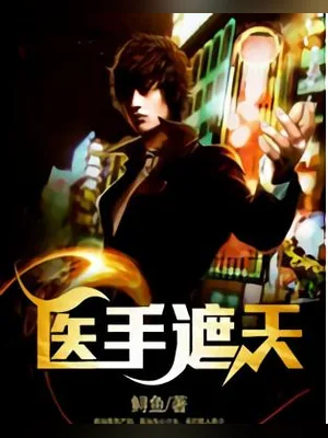 医手遮天（校对版全本） 封面