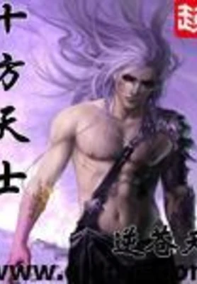 十方天士（校对版全本） 封面