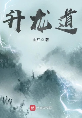 升龙道（校对版全本） 封面