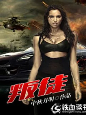 叛徒(校对版全本) 封面