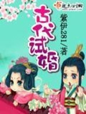 古代试婚（校对版全本） 封面