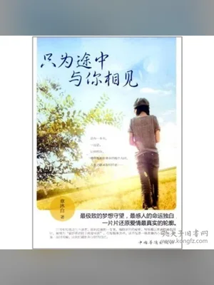 只为途中与你相见（实体版全本） 封面