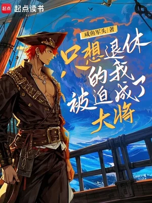只想退休的我被迫成了大将(校对版全本) 封面