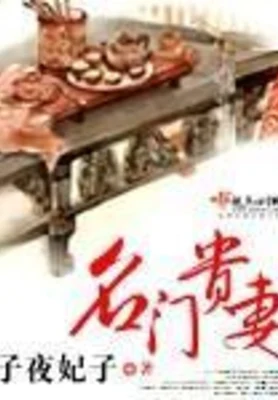 名门贵妻（校对版全本+番外） 封面