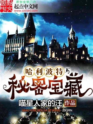 哈利波特与秘密宝藏(校对版全本) 封面
