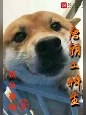 唐朝工科生（校对版全本） 封面