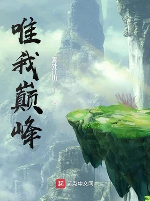 唯我巅峰（校对版全本） 封面