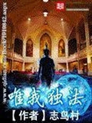 唯我独法(校对版全本) 封面