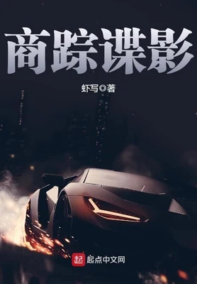商踪谍影(校对版全本) 封面