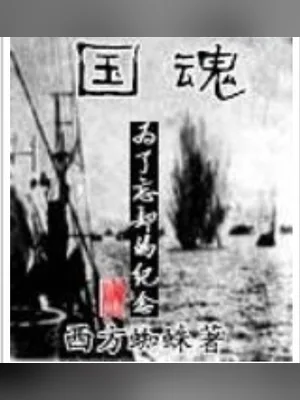 国魂(校对版全本) 封面