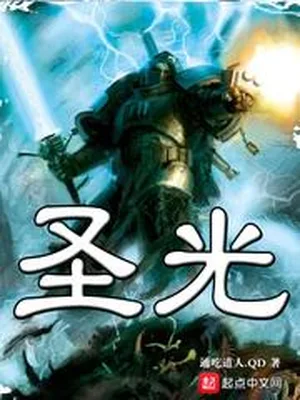 圣光（校对版全本） 封面