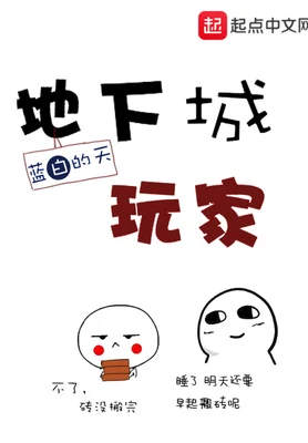 地下城玩家（校对版全本） 封面