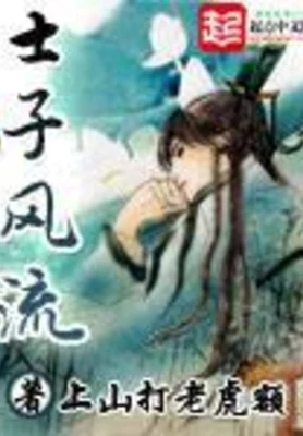 士子风流(校对版全本) 封面