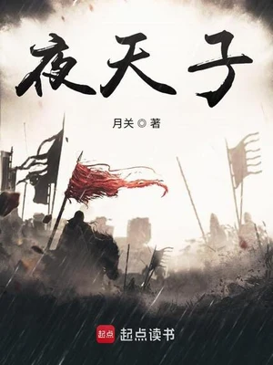 夜天子(校对版全本) 封面