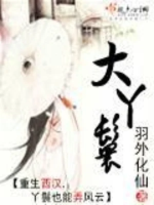大丫鬟（校对版全本） 封面