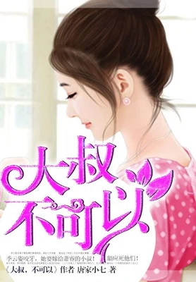大叔，不可以（校对版全本+番外） 封面