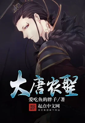 大唐农圣（校对版全本） 封面