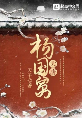 大唐杨国舅（校对版全本） 封面