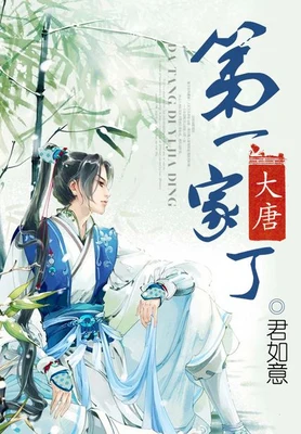 大唐第一家丁(校对版全本) 封面