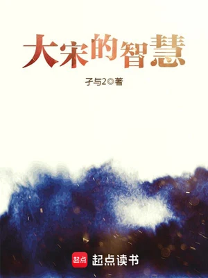 大宋的智慧（校对版全本） 封面