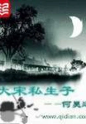 大宋私生子(校对版全本) 封面