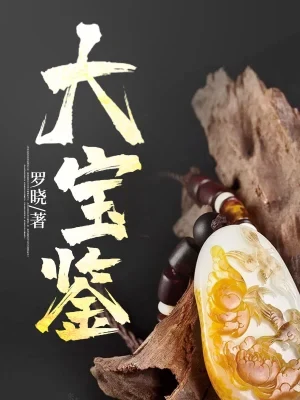 大宝鉴(校对版全本) 封面