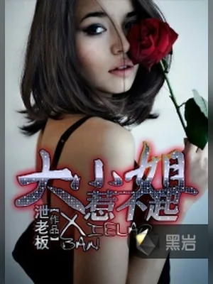 大小姐惹不起（校对版全本） 封面
