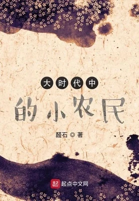 大时代中的小农民（校对版全本） 封面