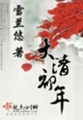 大清初年（校对版全本） 封面