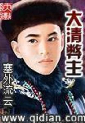 大清弊主（校对版全本） 封面