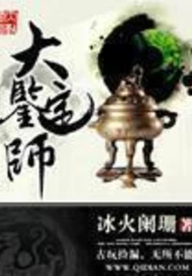 大鉴定师(校对版全本) 封面