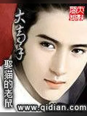 大高手（校对版全本） 封面