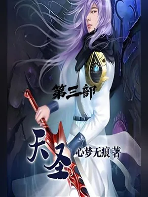 天圣（校对版全本） 封面