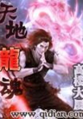 天地龙魂（校对版全本） 封面