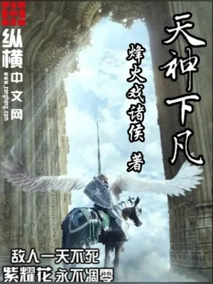 天神下凡(校对版全本) 封面