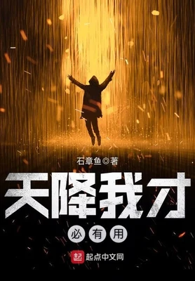 天降我才必有用(校对版全本) 封面