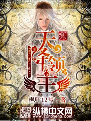 天降领主(校对版全本) 封面