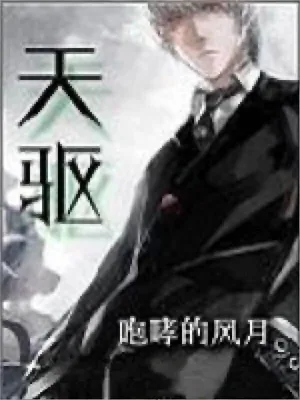 天驱（校对版全本） 封面