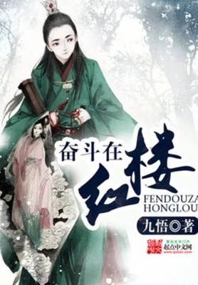 奋斗在红楼（校对版全本） 封面