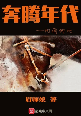 奔腾年代——向南向北（校对版全本） 封面