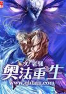 奥法重生(校对版全本) 封面