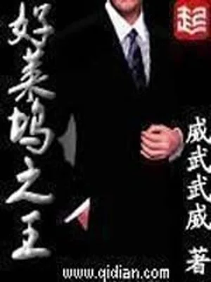 好莱坞之王(校对版全本) 封面