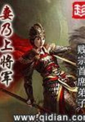 妻乃上将军（校对版全本） 封面